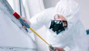 Best Pest Exclusion Services  in Little Falls, MN